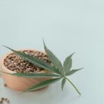 Ranking najpopularniejszych banków nasion marihuany w Europie